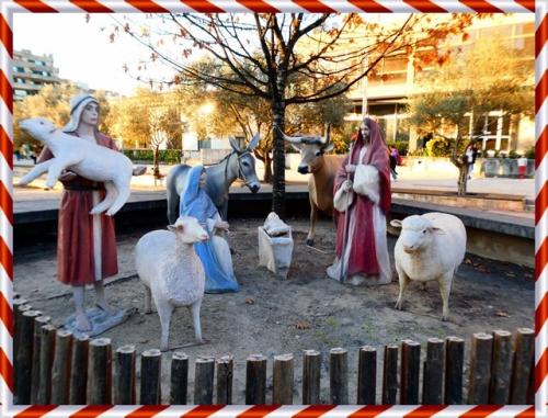 24c_Natal_OAz (3).JPG