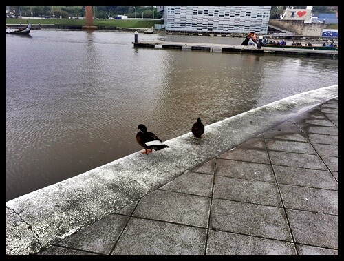 05b_Aveiro (30).jpg