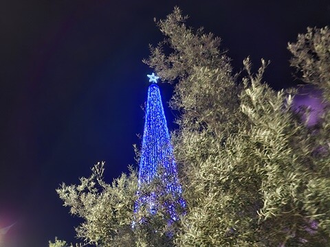 28b_Inaugura&ccedil;&atilde;o_Ilumina&ccedil;&otilde;es_de_Natal_OAz (32).