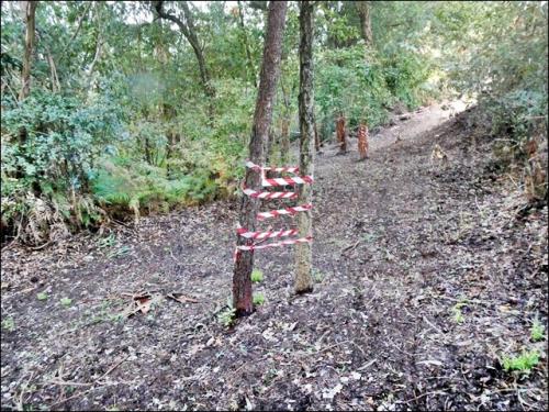 22a_Caminhada_matinal (27).JPG