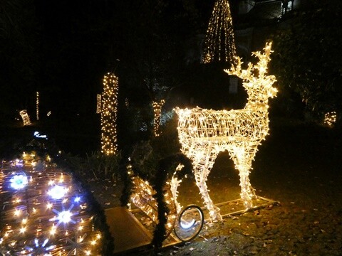 30d_Parque_Natal (11).JPG