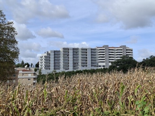 02b_Oliveira_de_Azem&eacute;is (20).jpg