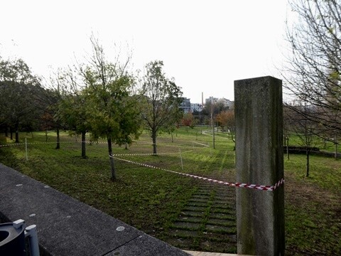 30a_VLC_Parque_Urbano_Pista (29).JPG