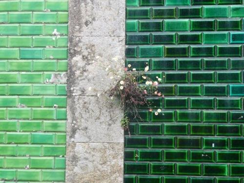 01a_Caminhada_matinal (2).JPG