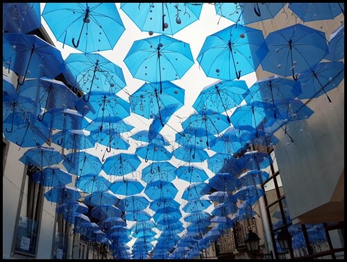 7 - Domingo (12).jpg