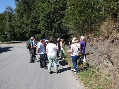 07a_Sa&iacute;da_de_Campo_3793 (34).JPG
