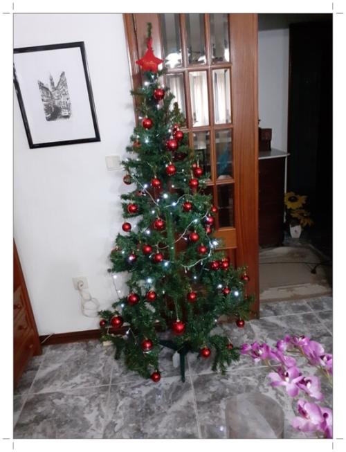 01b_&Aacute;rvore_de_Natal (17).jpg