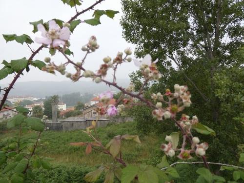 03a_Caminhada (18) - C&oacute;pia.JPG