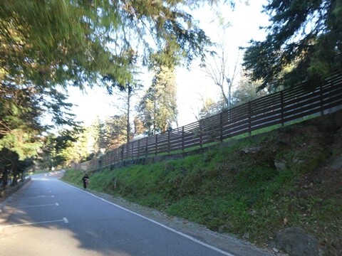 31a_&Uacute;ltima_caminhada_do_ano (45).JPG