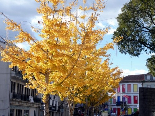 08a_&Aacute;gueda (7).JPG