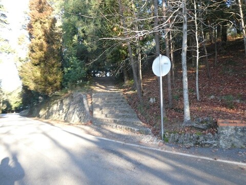 31a_&Uacute;ltima_caminhada_do_ano (41).JPG