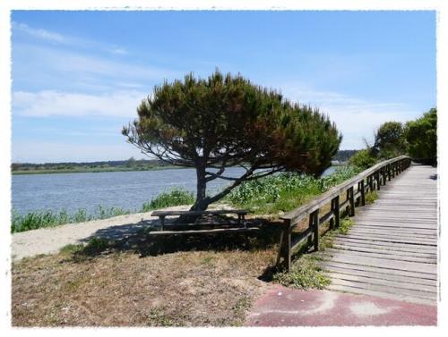 30b_Praia_de_Mira (46).JPG