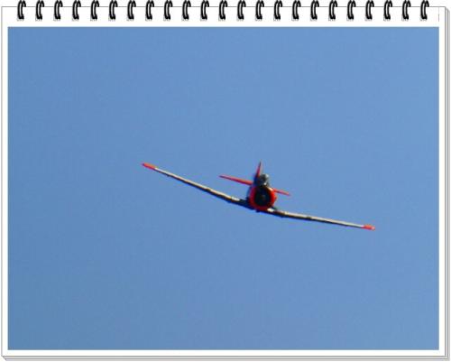 26a_Dunas_S_Jacinto_2023 (282).JPG