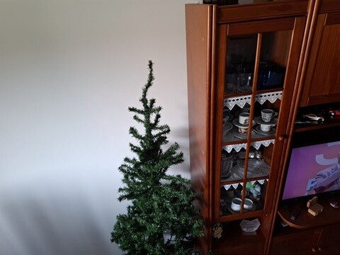 01b_Natal_2025_em_Casa (9).jpg