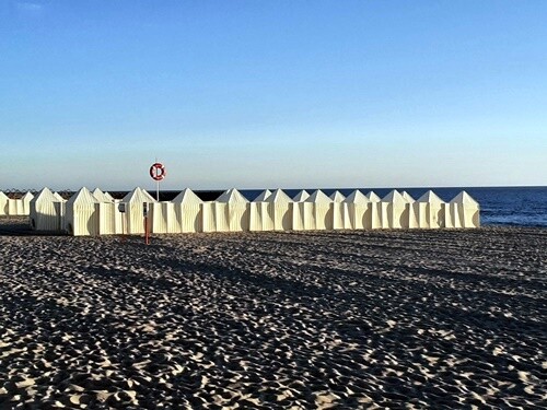 21c_Espinho (4).jpg
