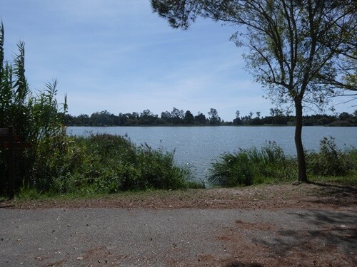 13b_Lagoa (3).JPG