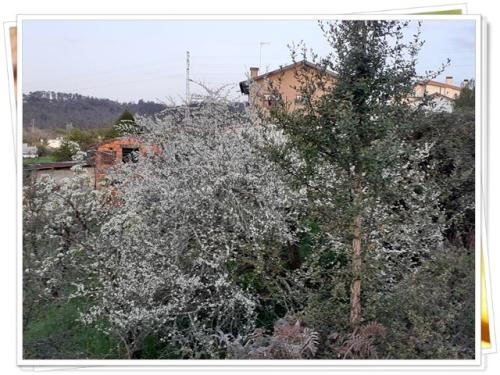 28a_Caminhada_Matinal (6).jpg