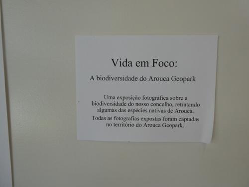 04b_ESA_Biblioteca_e_Corredor (8).JPG