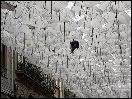7 - Domingo (11).jpg