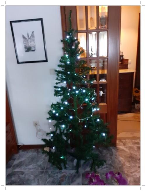 01b_&Aacute;rvore_de_Natal (5).jpg