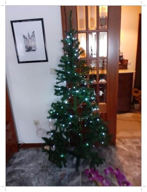 01b_&Aacute;rvore_de_Natal (6).jpg