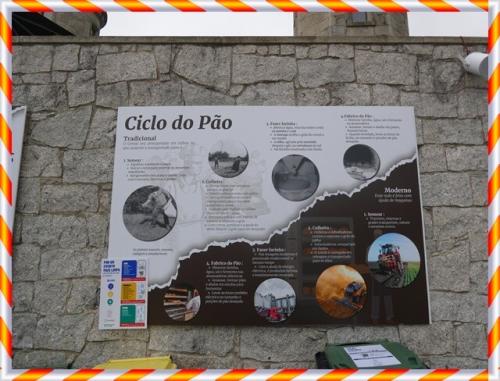 04b_AAV_Festival_do_Pão (13).JPG