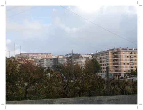 20b_Paisagens_Oliveirenses (9).JPG