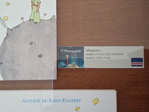 01b_Exposi&ccedil;&atilde;o (8).jpg
