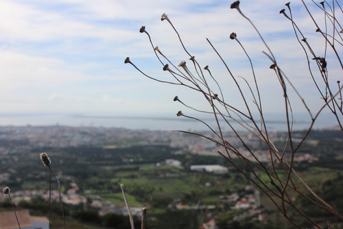 Uma pergunta por dia: Porque procuras a felicidade em tudo o que não tens?