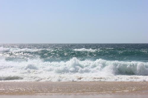 IMG_8539.JPG IMG_8539.JPG