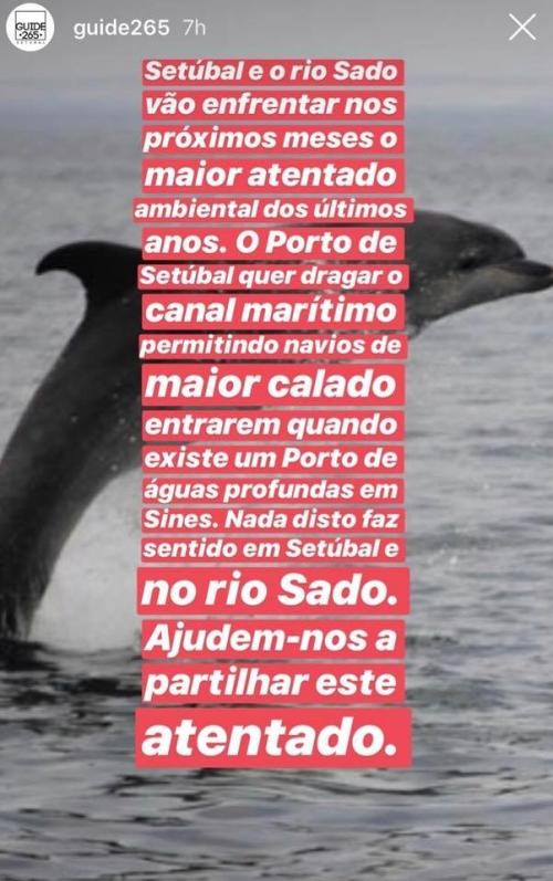 Atentado ambiental no rio Sado -  Ou andamos todos a ver navios?