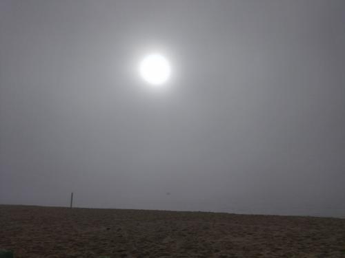Debaixo do sol