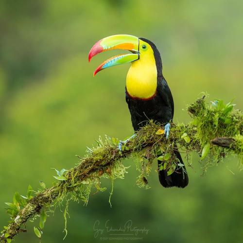 costarica.jpg