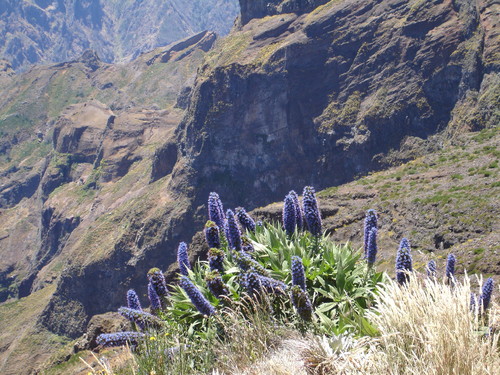 Horizonte