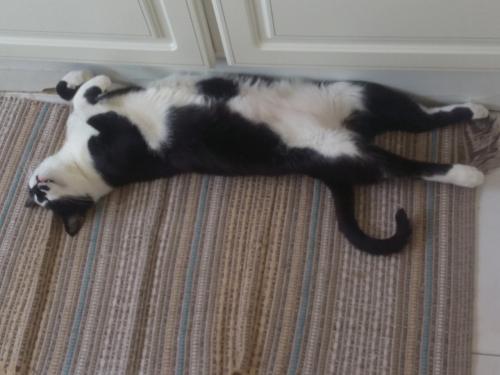 Relaxe, relaxe, relaxe...