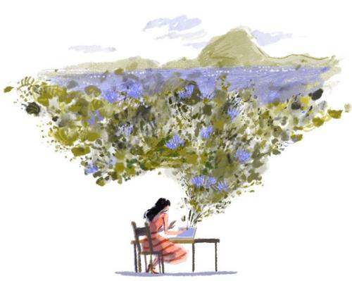 ilustra&ccedil;&otilde;es.jpg