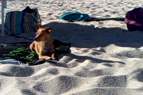 A miúda mais gira da praia