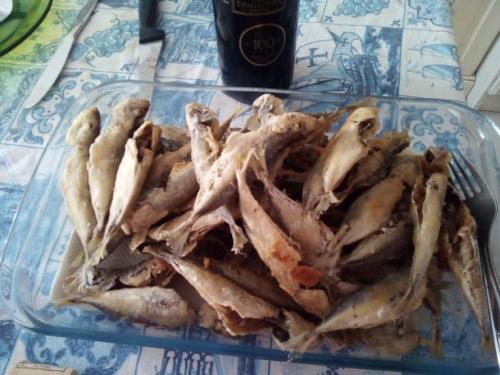 carapausfritos.jpg