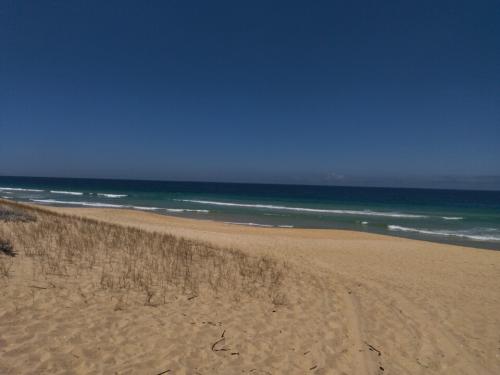 IMG_20220618_114814.jpg