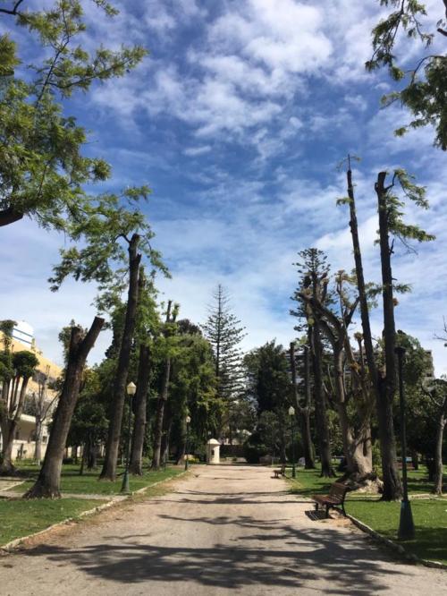 Alameda_Abril_2019.jpg