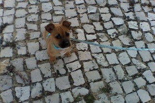 IMG0549A.jpg