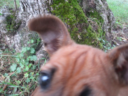 passeio 2.JPG passeio 2.JPG