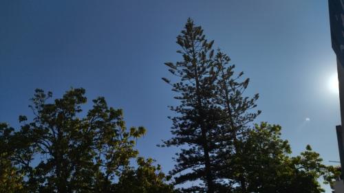 Daqui até ao Natal - 6