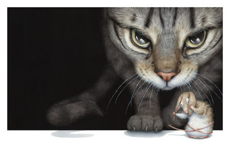gatos.jpg gatos.jpg