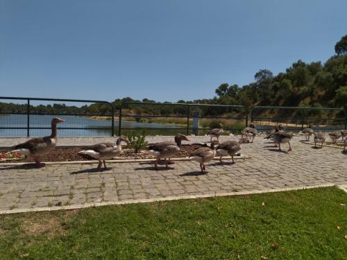 Passeio em  família