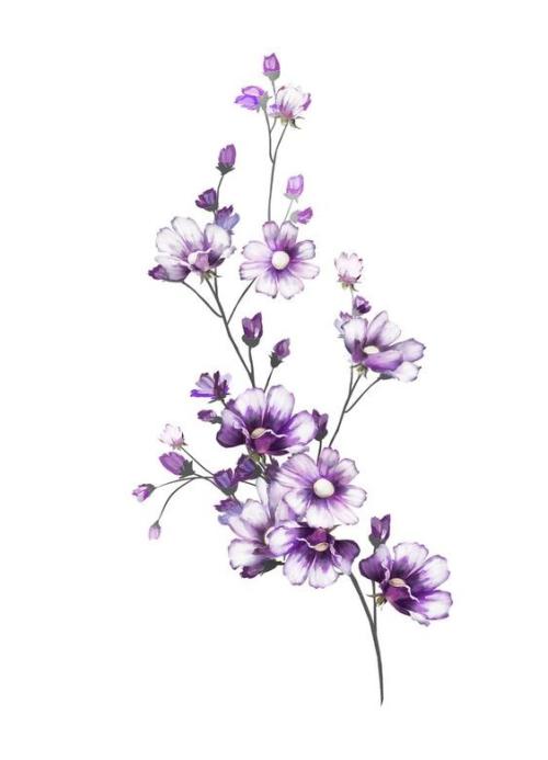 flor lil&aacute;s2.jpg