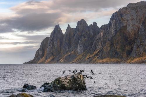 Fotógrafos de Natureza - Lars Mathisen