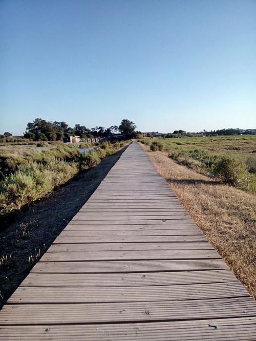 caminho.jpg