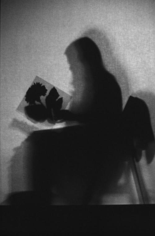lourdes castro.jpg