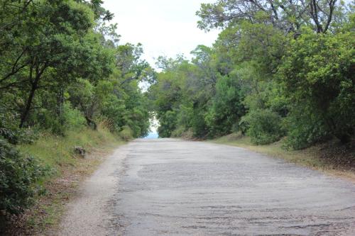 Que caminho é este